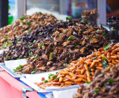 Insects as Sustainable Protein: Pioneering a Nutritious and Environmentally Friendly Food Source