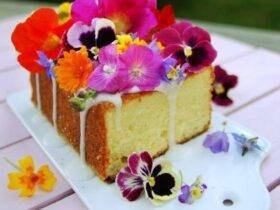 "Edible Flowers: A Feast for the Senses - Exploring Nature's Culinary Gems"