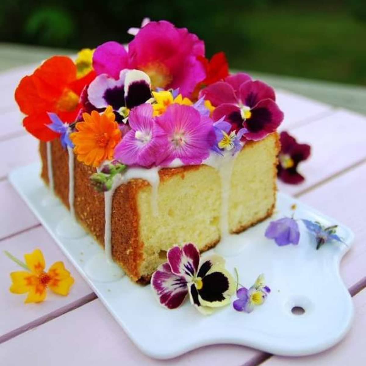 “Edible Flowers: A Feast for the Senses – Exploring Nature’s Culinary Gems”